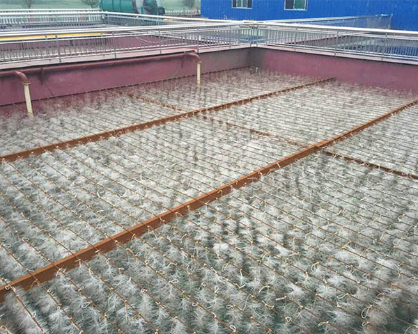 黑龙江制药厂污水处理